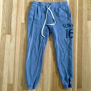 American Eagle Periwinkle Joggers